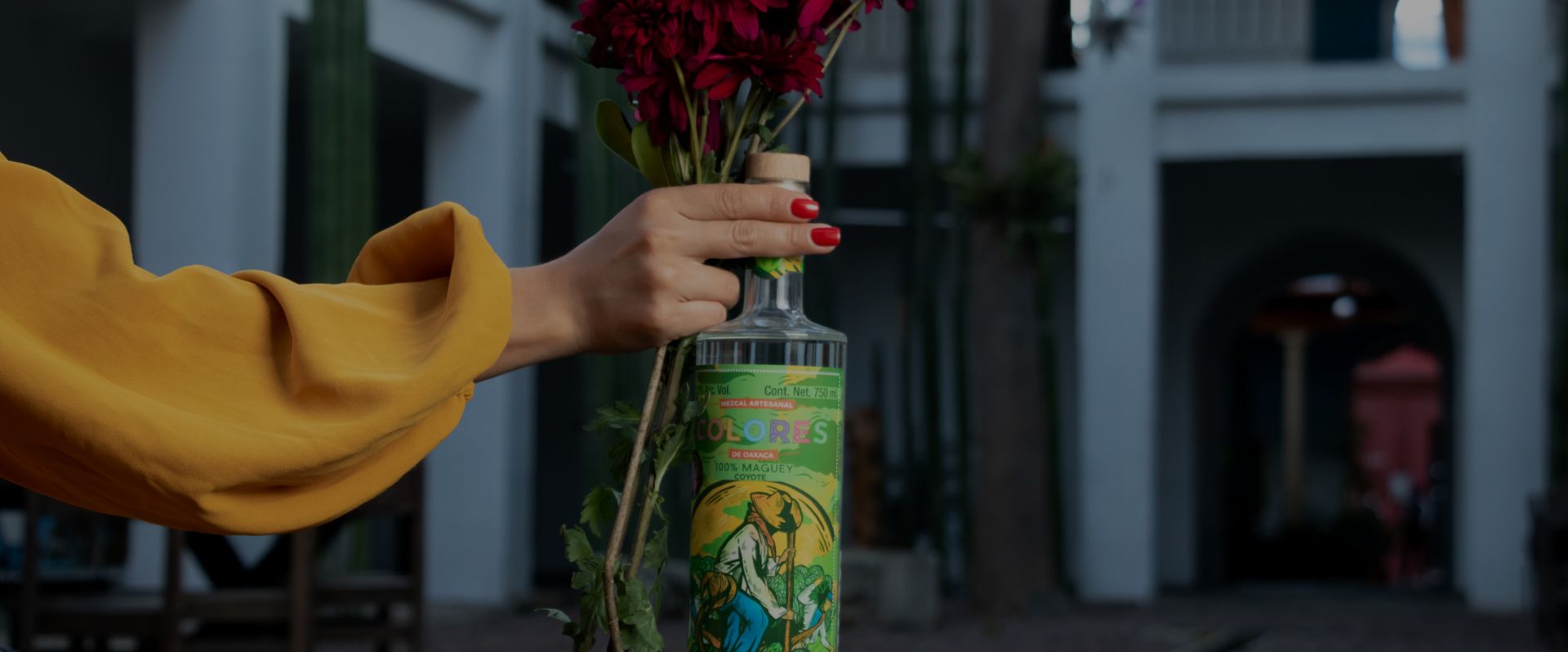 Compra Mezcal de Oaxaca con Garantía de Calidad