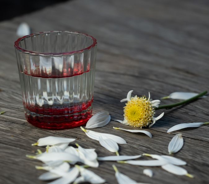 Compra Mezcal Premium de Oaxaca en Línea